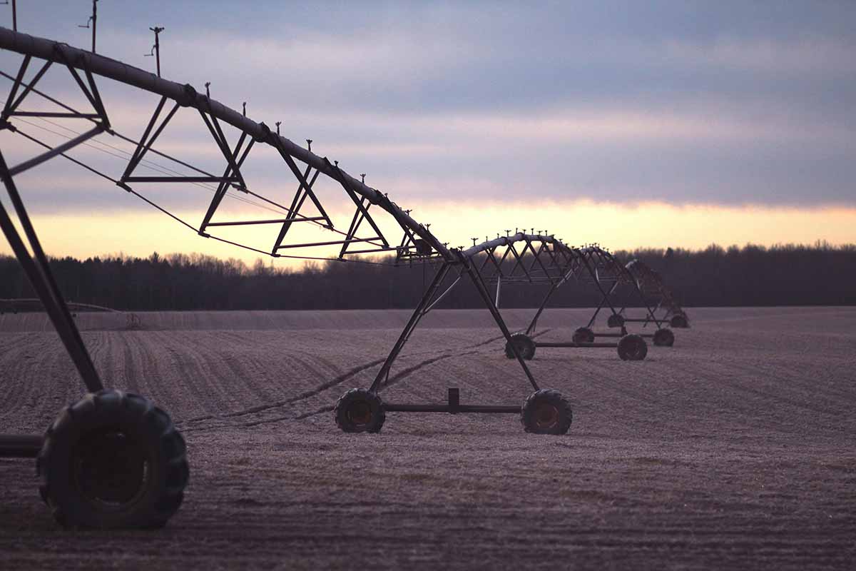 Pivots in a field