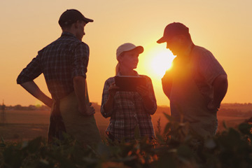 Farmer with employees in field at sunset