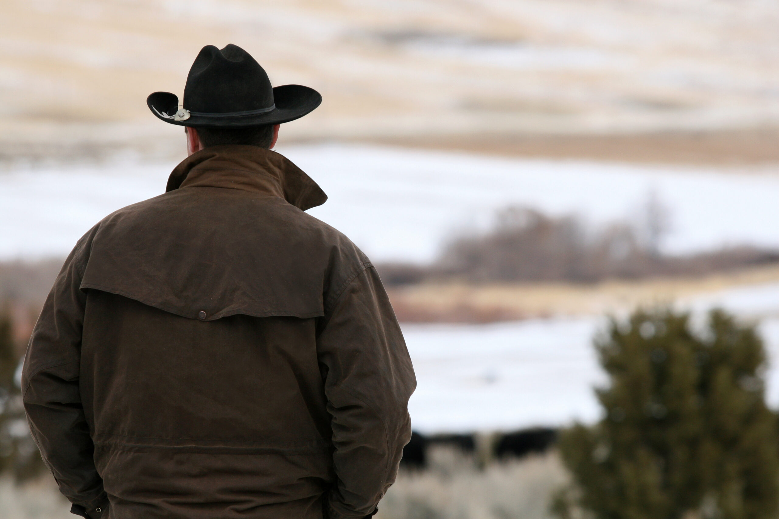 Man in cowboy hat looking over field