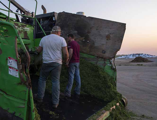 Family members work together to bring silage in from the field