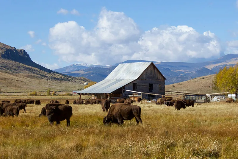 The Fourth Quarter: Why the Most Exciting Chapter of Your Ranch Legacy Begins Near the End