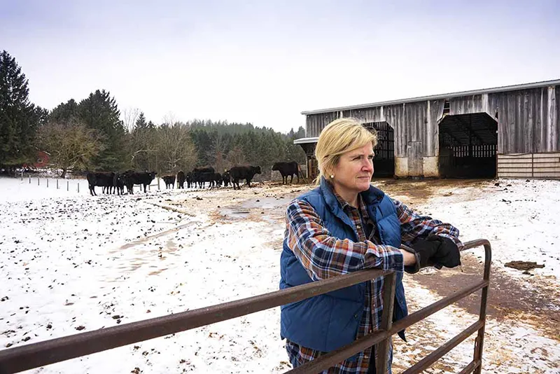 farmer-at-fence farmer leaning on fence with cattle in the background